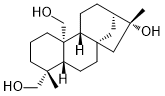 ent-Kaurane-16β,19,20-triol