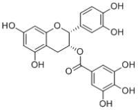 Epicatechin gallate