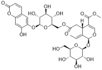 Escuside