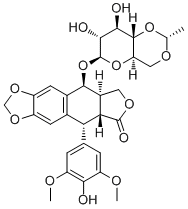 Etoposide