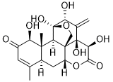 Eurycomanone