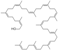 Ficaprenol 11