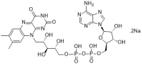 Flavin adenine dinucleotide 
disodium salt hydrate