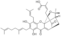 Gambogenic acid