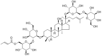 Ginsenoside Ra6