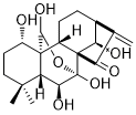 Hebeirubescensin H