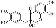Hematoxylin