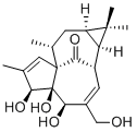 ingenol-30220-46-3.png