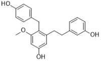 Isoarundinin I
