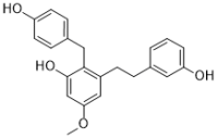 Isoarundinin II