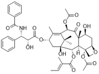 IsocephaloMannine