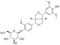 Isoeucommin A