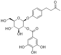 Isolindleyin
