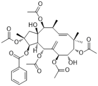 Jatrophane 6