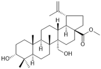 Methyl 3α,27-dihydroxylup-20(29)-en-28-oate