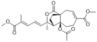 Methyl pseudolarate B