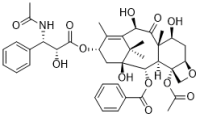 N-Acetyl-10-deacetyl-N-debenzoylpaclitaxel