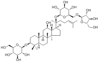Notoginsenoside Fe