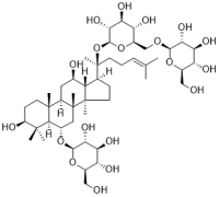 Notoginsenoside R3