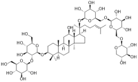 Notoginsenoside R4