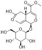 Oleoside 11-methyl ester