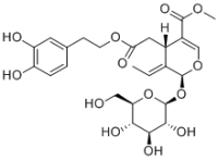 Oleuropein