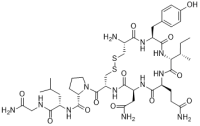 Oxytocin
