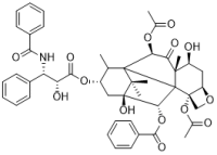 paclitaxel photodegradant