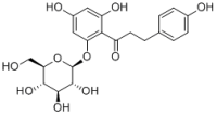 Phlorizin
