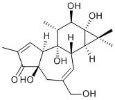 phorbol-17673-25-5.png