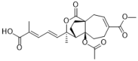 Pseudolaric acid B