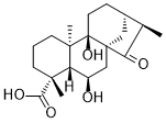Pterisolic acid D