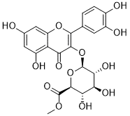 Quercetin 3-O-glucuronide methyl ester