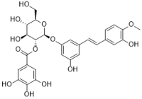 Rhaponticin 2''-O-gallate