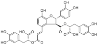 Salvianolic acid B