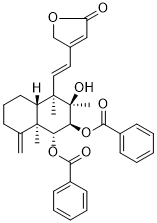 Scutebata L