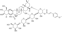 Senegasaponin B