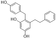 Shancigusin D
