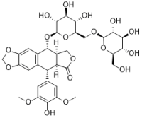 Sinolignan B