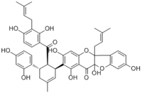Sorocein H