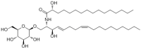 Soyacerebroside II