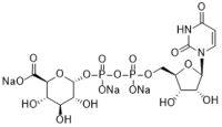 Uridine 5'-diphosphoglucuronic acid trisodium