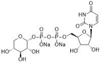 Uridine 5'-diphosphoxylose disodium