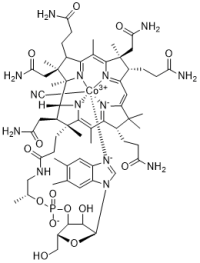 Vitamin B12