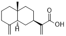 β-Costic acid