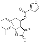 β-Furoyleupatolide